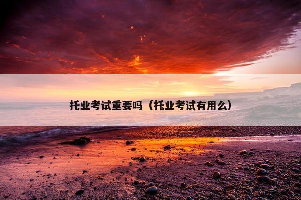 托业考试重要吗（托业考试有用么）