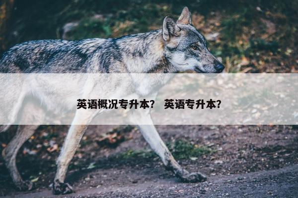 英语概况专升本？ 英语专升本？