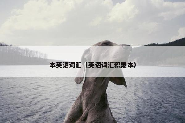 本英语词汇（英语词汇积累本）