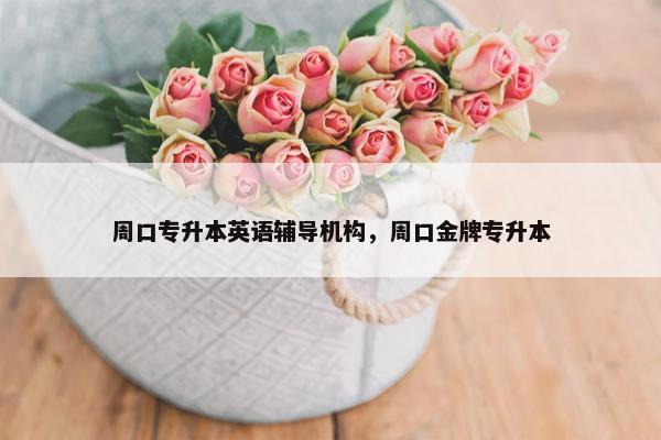 周口专升本英语辅导机构，周口金牌专升本