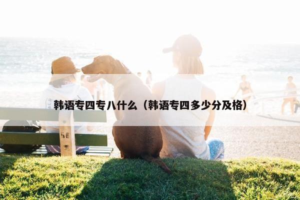 韩语专四专八什么（韩语专四多少分及格）