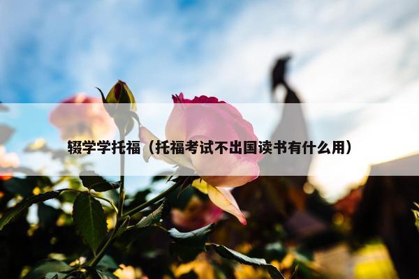 辍学学托福（托福考试不出国读书有什么用）