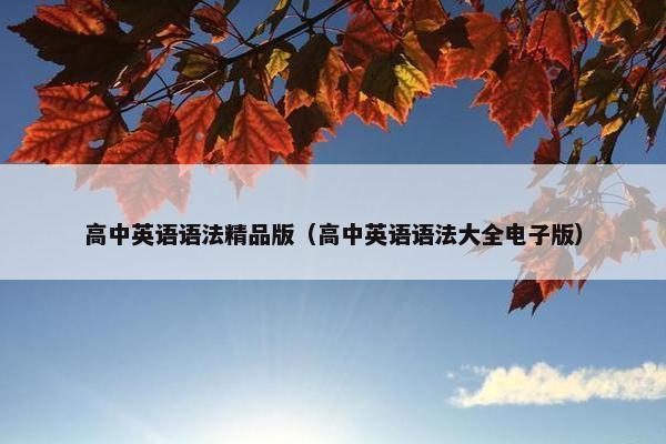 高中英语语法精品版（高中英语语法大全电子版）