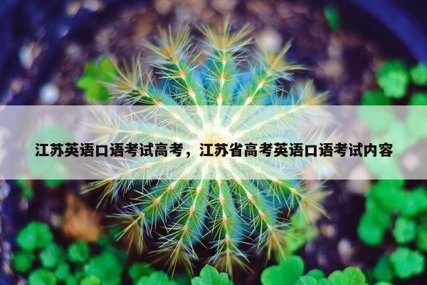 江苏英语口语考试高考，江苏省高考英语口语考试内容