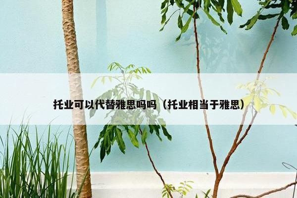 托业可以代替雅思吗吗（托业相当于雅思）
