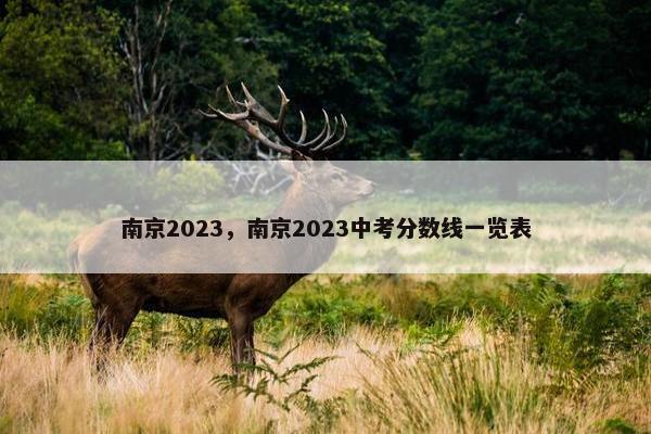 南京2023，南京2023中考分数线一览表