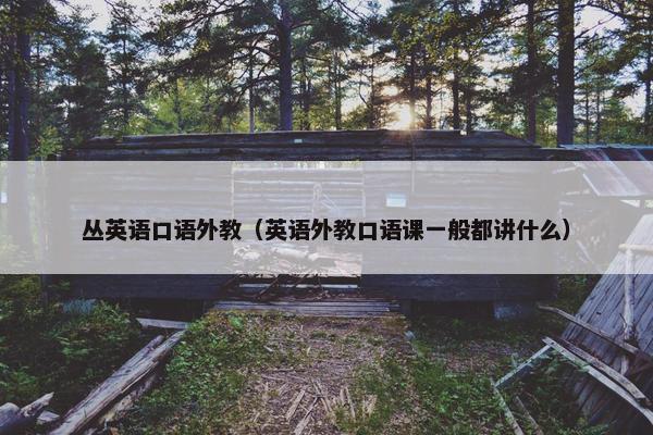丛英语口语外教（英语外教口语课一般都讲什么）