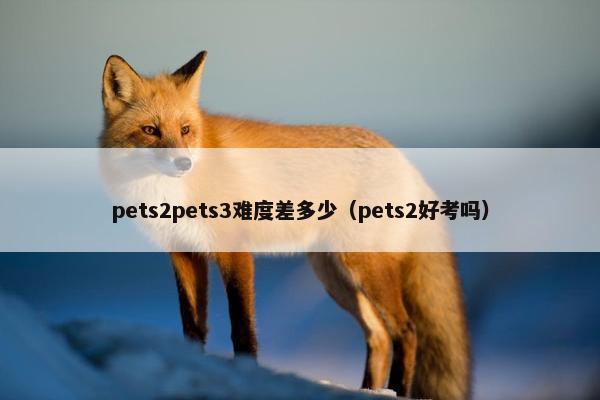 pets2pets3难度差多少（pets2好考吗）