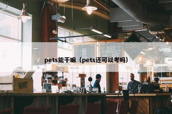 pets能干嘛（pets还可以考吗）