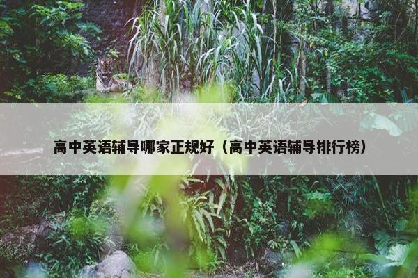 高中英语辅导哪家正规好（高中英语辅导排行榜）