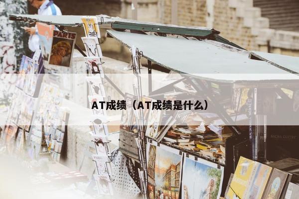 AT成绩（AT成绩是什么）