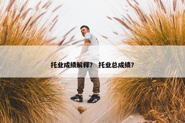 托业成绩解释？ 托业总成绩？