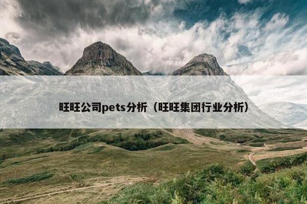 旺旺公司pets分析（旺旺集团行业分析）