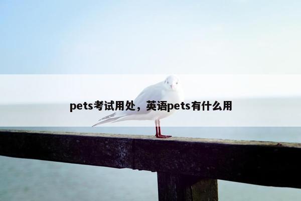 pets考试用处，英语pets有什么用