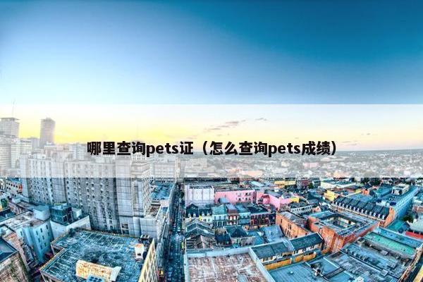 哪里查询pets证（怎么查询pets成绩）