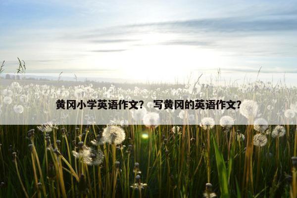 黄冈小学英语作文？ 写黄冈的英语作文？