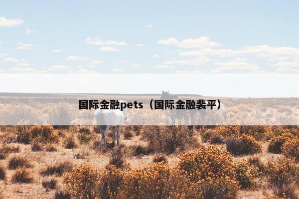 国际金融pets（国际金融裴平）