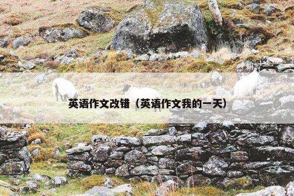 英语作文改错（英语作文我的一天）
