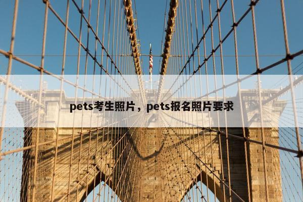 pets考生照片，pets报名照片要求