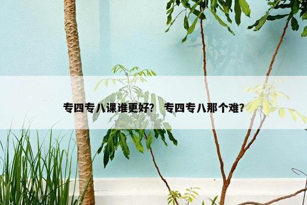 专四专八课谁更好？ 专四专八那个难？