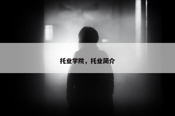 托业学院，托业简介