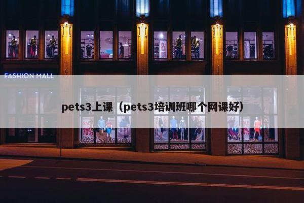 pets3上课（pets3培训班哪个网课好）