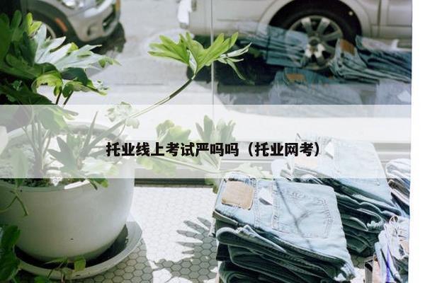 托业线上考试严吗吗（托业网考）