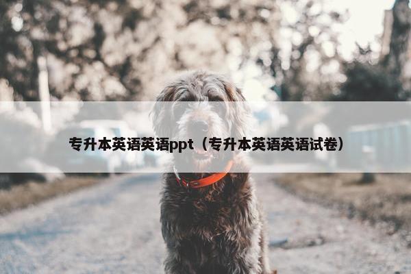 专升本英语英语ppt（专升本英语英语试卷）