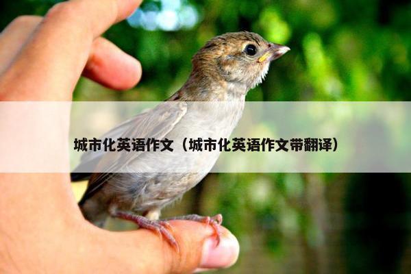 城市化英语作文（城市化英语作文带翻译）