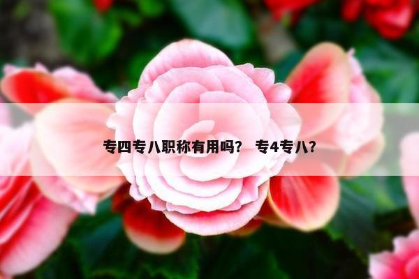 专四专八职称有用吗？ 专4专八？