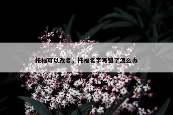 托福可以改名，托福名字写错了怎么办