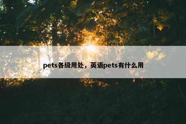 pets各级用处，英语pets有什么用