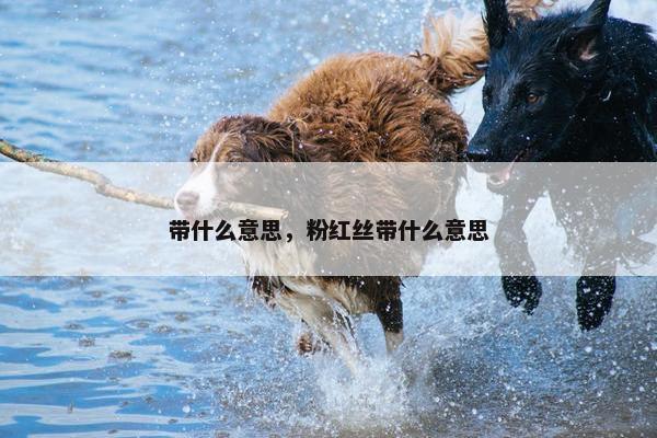 带什么意思，粉红丝带什么意思