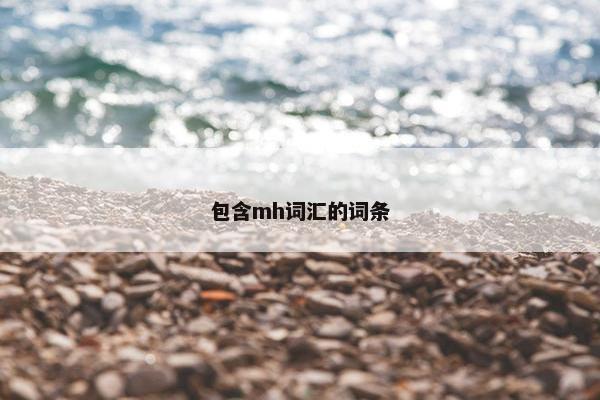 包含mh词汇的词条