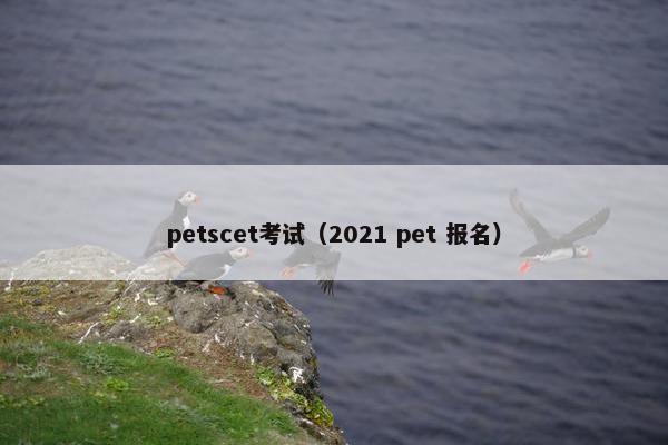 petscet考试（2021 pet 报名）