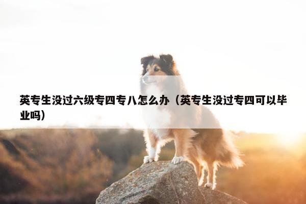 英专生没过六级专四专八怎么办（英专生没过专四可以毕业吗）