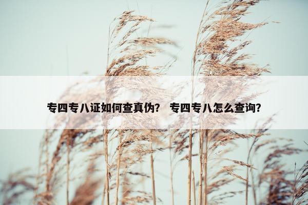 专四专八证如何查真伪？ 专四专八怎么查询？