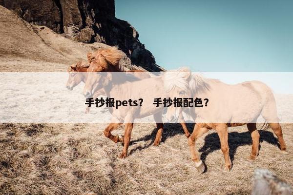 手抄报pets？ 手抄报配色？
