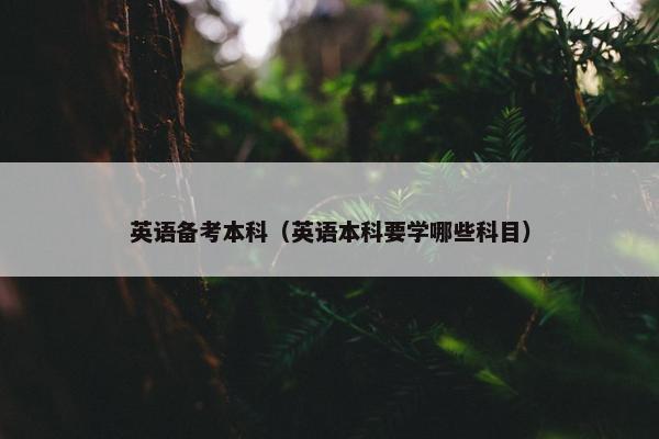 英语备考本科（英语本科要学哪些科目）