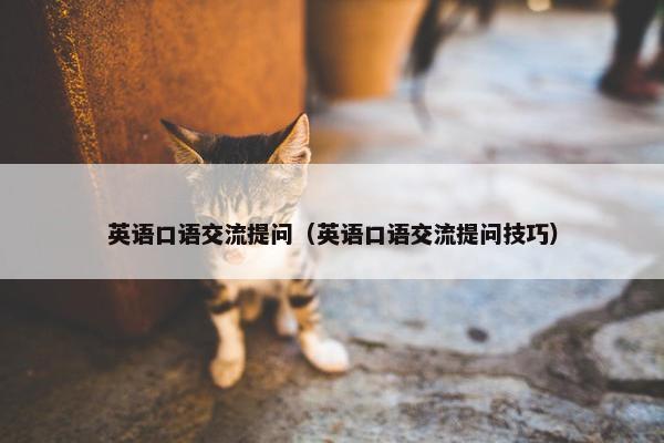 英语口语交流提问（英语口语交流提问技巧）