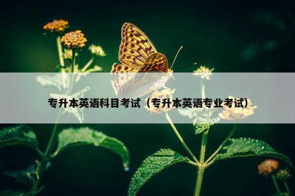 专升本英语科目考试（专升本英语专业考试）