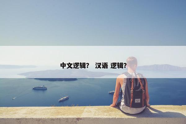 中文逻辑？ 汉语 逻辑？