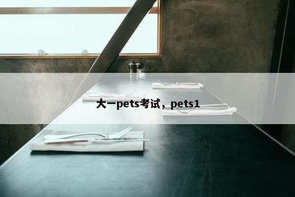 大一pets考试，pets1