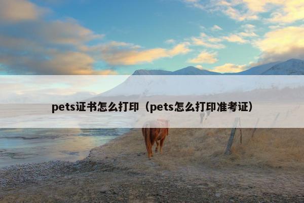 pets证书怎么打印（pets怎么打印准考证）