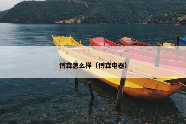 博森怎么样（博森电器）
