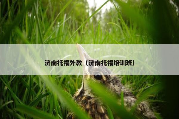 济南托福外教（济南托福培训班）