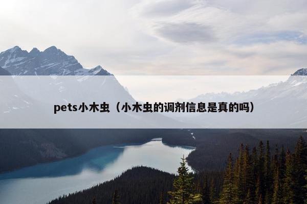 pets小木虫（小木虫的调剂信息是真的吗）