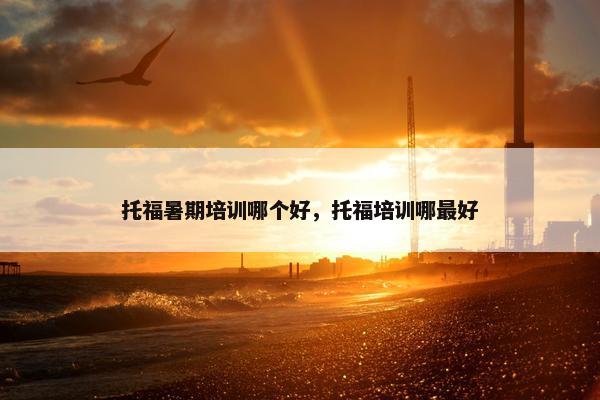 托福暑期培训哪个好，托福培训哪最好