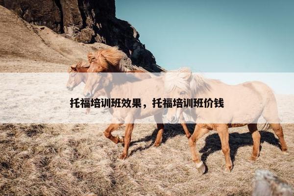 托福培训班效果，托福培训班价钱
