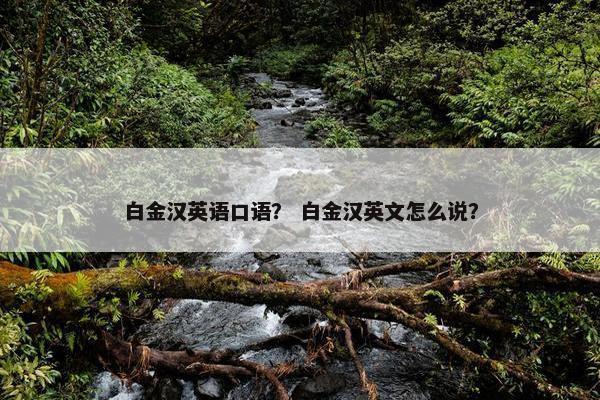 白金汉英语口语？ 白金汉英文怎么说？